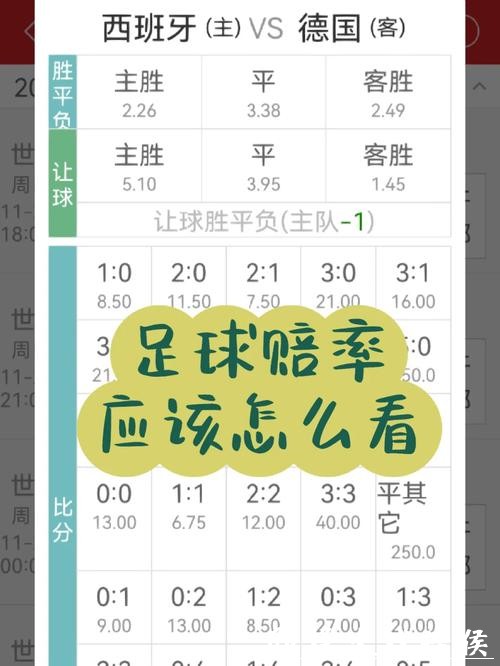 世界杯投注官网：实时赔率更新更准更快